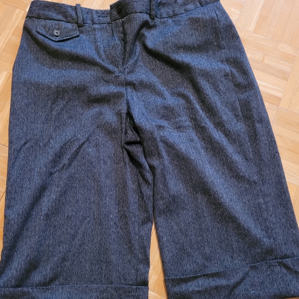 Dress Barn long shorts